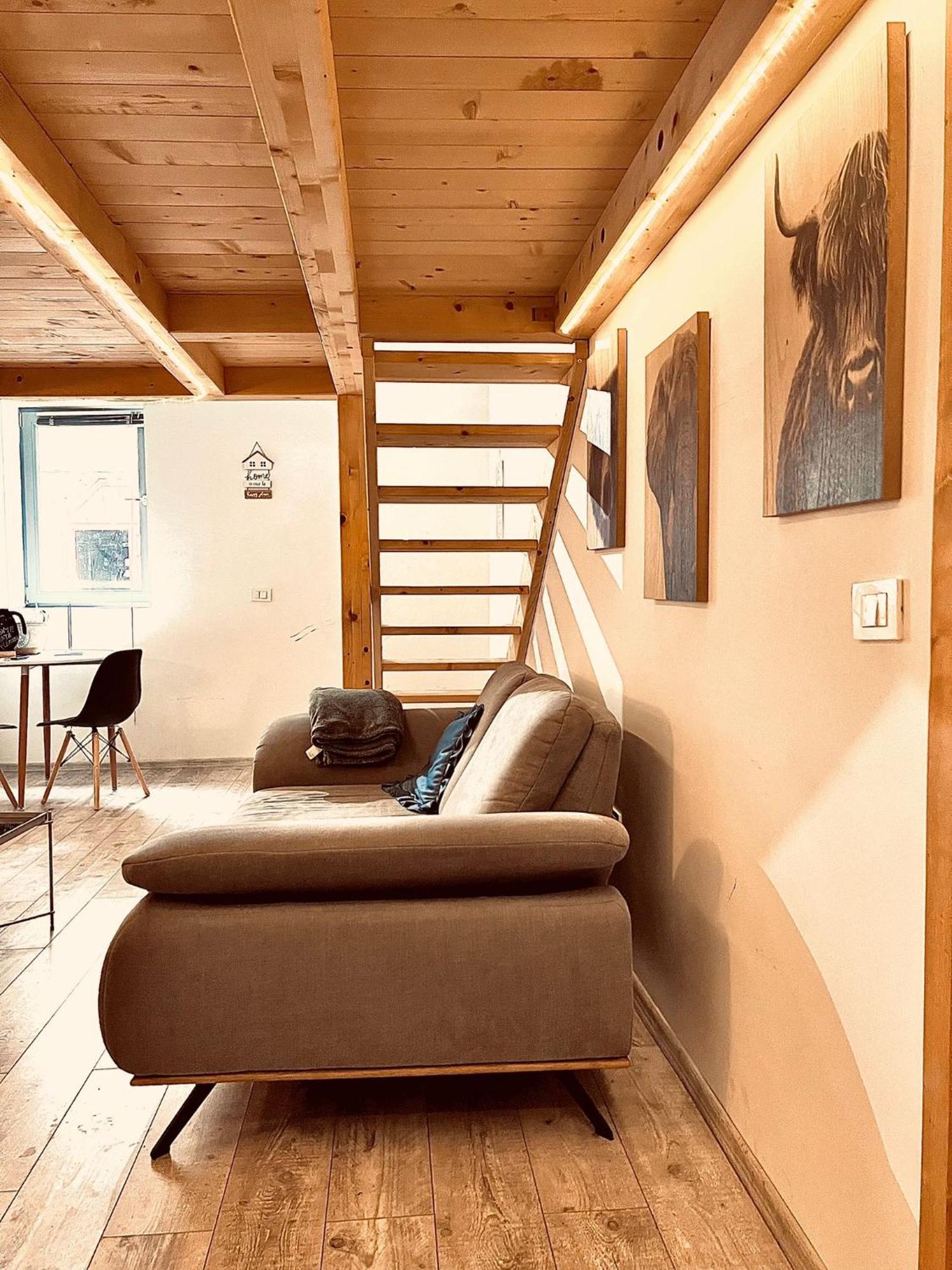 Central Cluj Apartament Eksteriør billede
