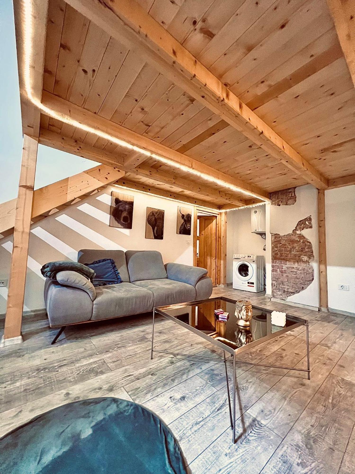 Central Cluj Apartament Eksteriør billede
