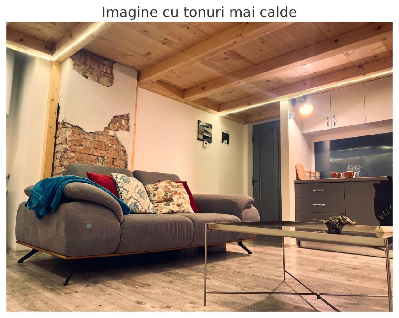 Central Cluj Apartament Eksteriør billede